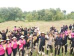 67a071916d3ac-panen-raya-jagung-di-sragen_1265_711